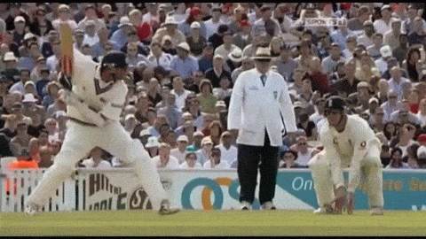 1000002279.gif