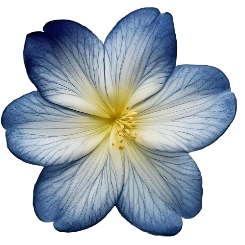1000173192.png