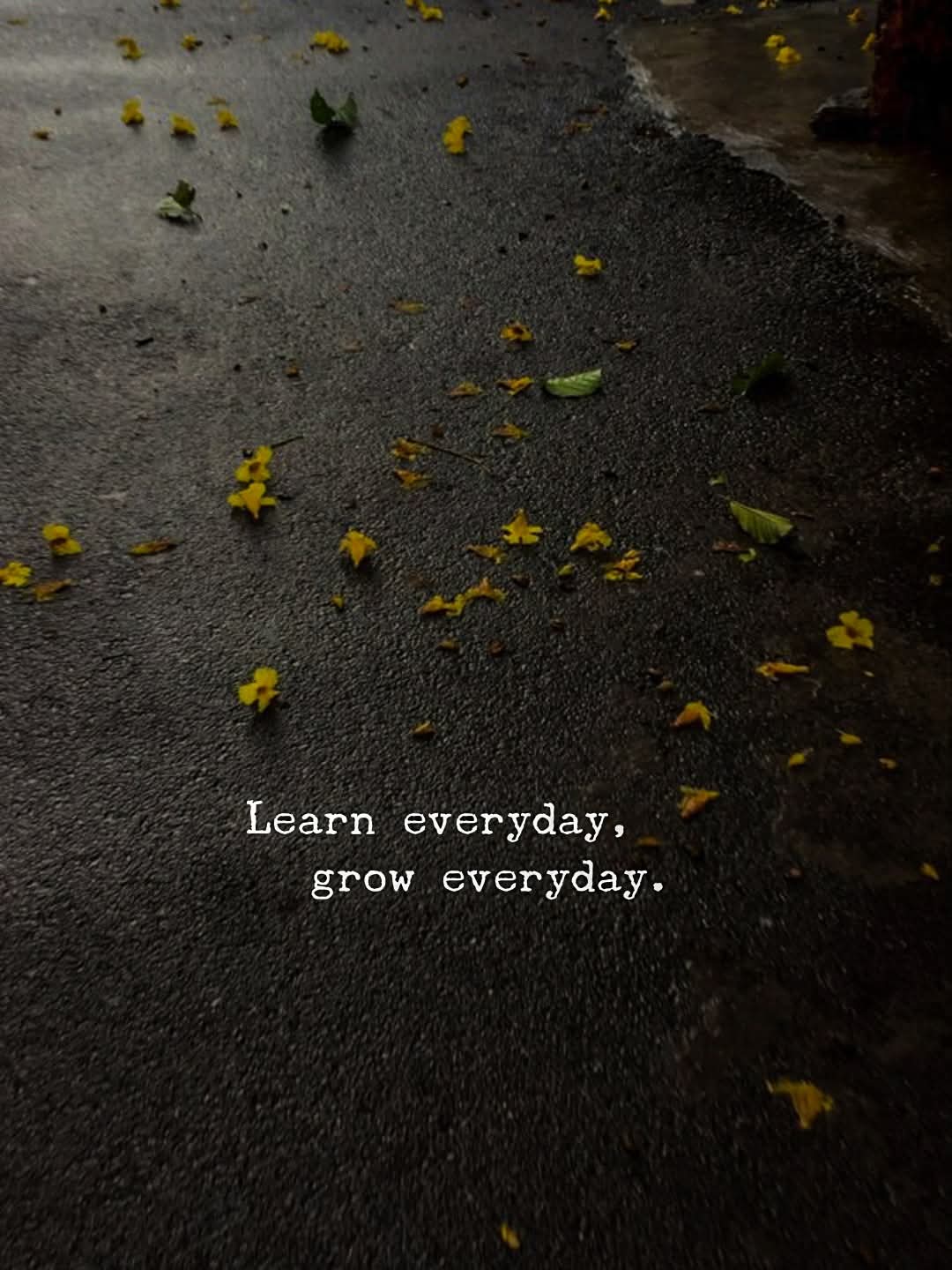 1000355169.jpg