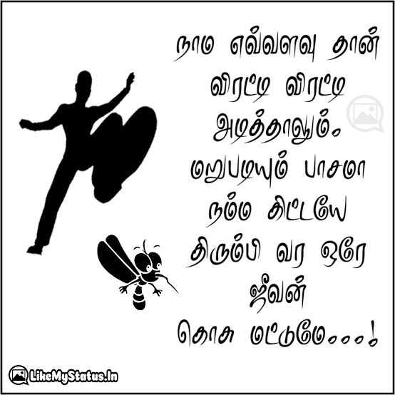 1688483493968.png