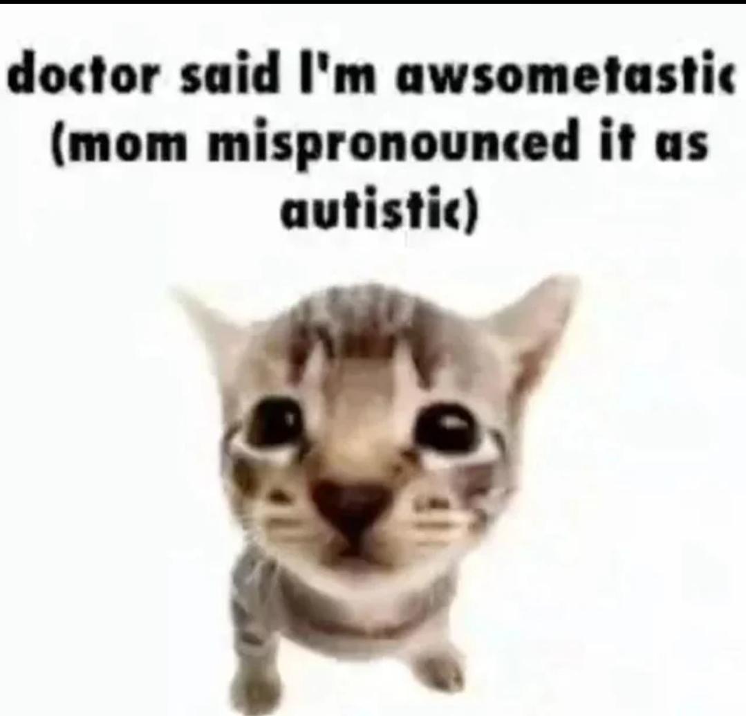 1742485039477.jpg