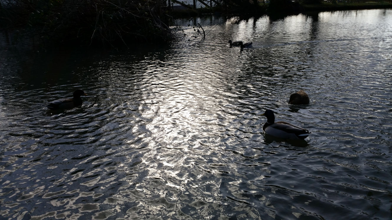 20180216_131930.jpg