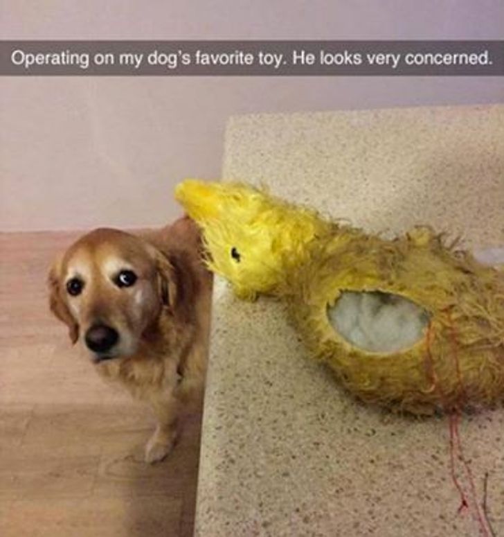7ad4dd55429cf61e54aabe3ba1.jpg