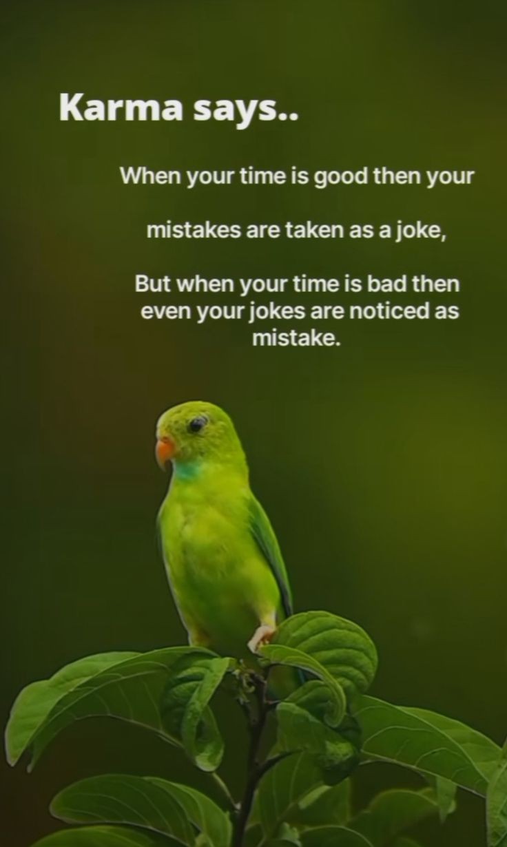 9bde9e6025d61f48d1711a4a65038c12.jpg