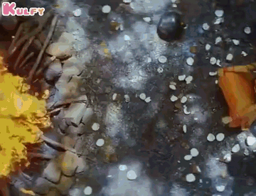 a81e54ae9a6c5726205162501a0c93eefe3baad3a475cdef40896ebc03468302.0.GIF