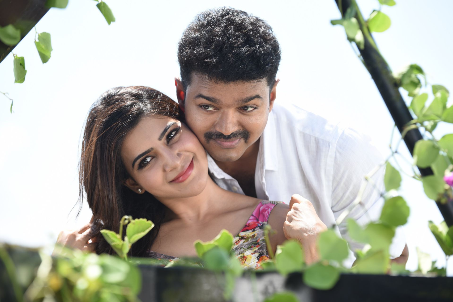 Actor-Vijay-And-Samantha-Beautiful-Stills-From-Theri-Tamil-Movie-1.jpg