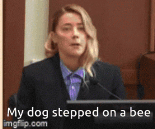 amber-heard-my-dog-stepped-on-a-bee.gif