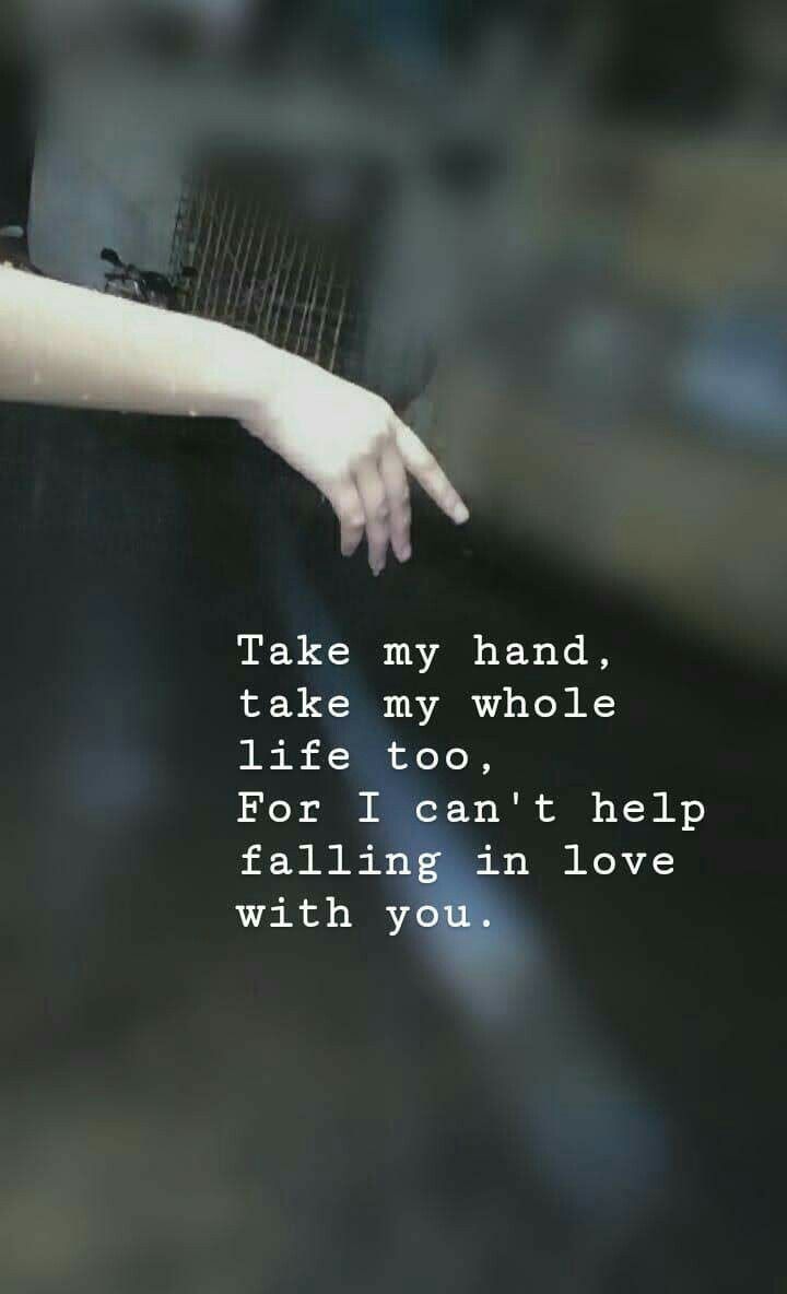 Can't help falling in love with you - Haley Reinhart.jpeg