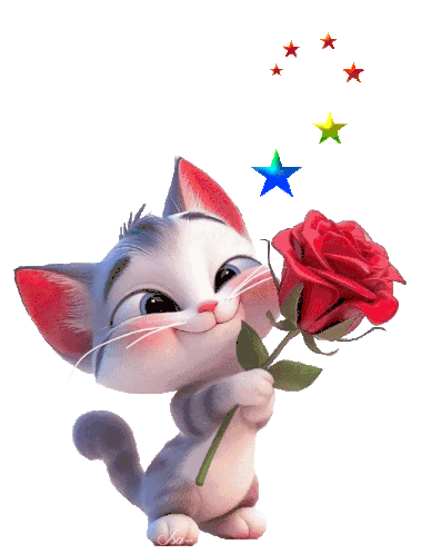 chat-cat.gif