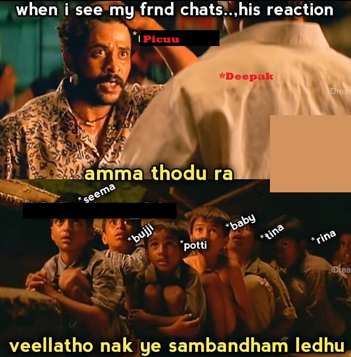 Chats.jpg