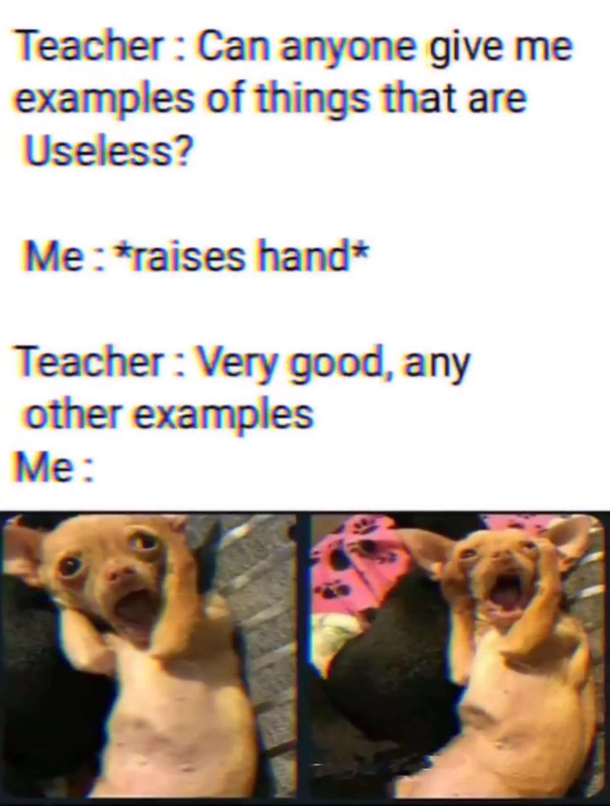 E0B5468B-E3DC-45A0-B5CE-6F3FA8666F83.jpeg