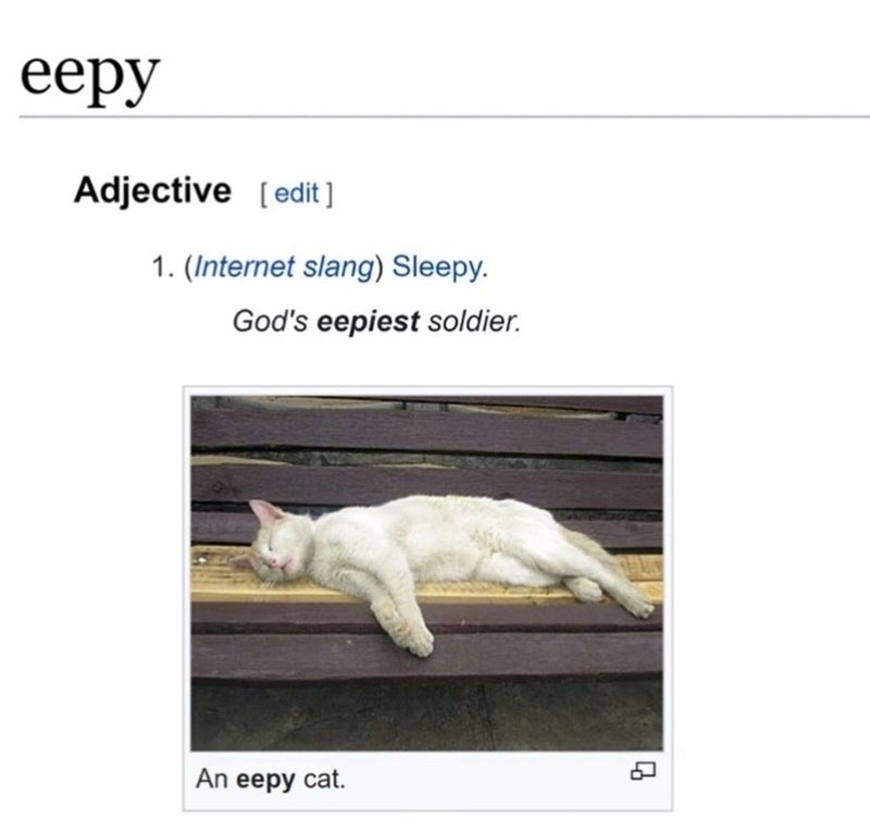 eepy-adjective-edit-1-internet-slang-sleepy-gods-eepiest-soldier-an-eepy-cat-q.jpeg