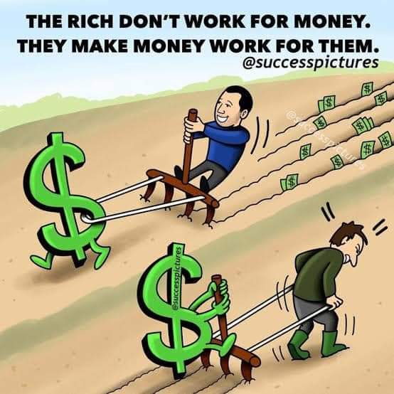 FB_IMG_1607340691826.jpg