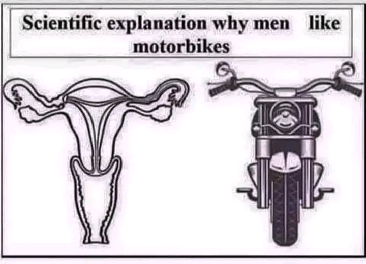 FB_IMG_16558953892712790.jpg