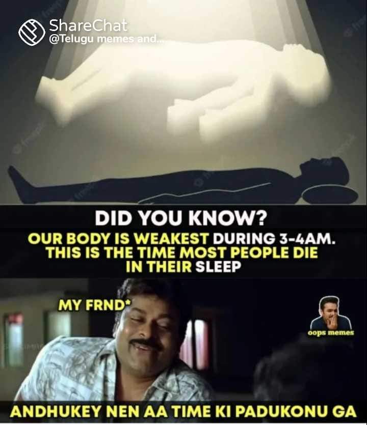 FB_IMG_1659585968567.jpg