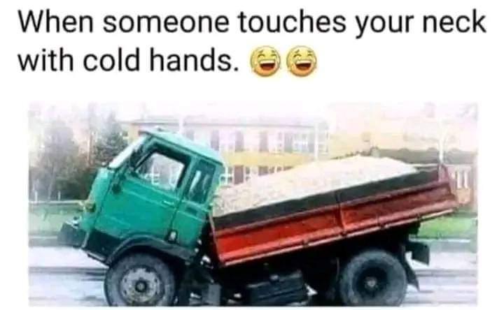 FB_IMG_1703329997869.jpg