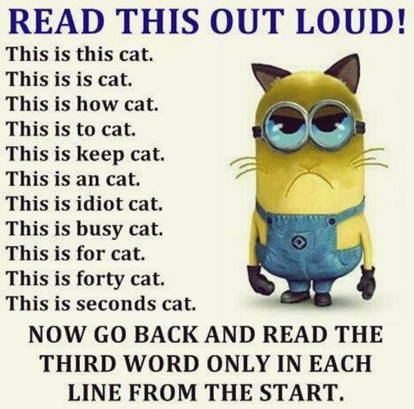 Funny-Minion-Quotes-066.jpg