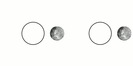 image-asset (1).gif