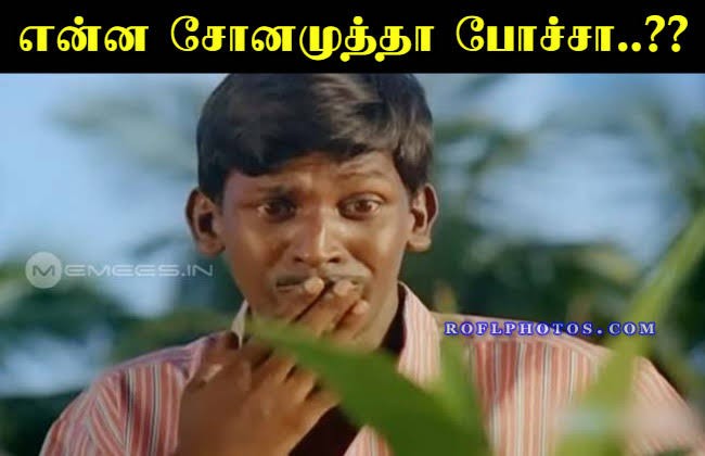 images (1) - 2022-02-27T164355.304.jpg