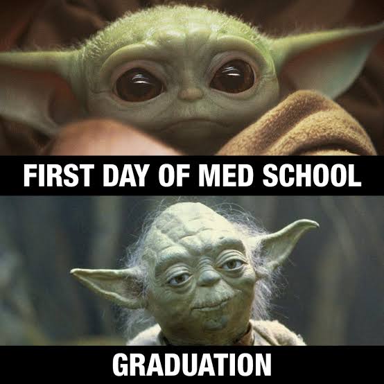 images (1) - 2022-05-06T083917.909.jpeg