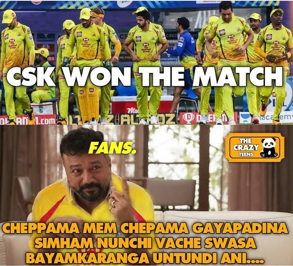 images (11) (17).jpeg