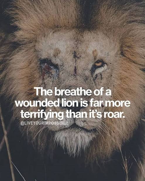 images (11) (18).jpeg