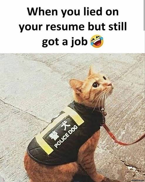 images (11) (2).jpeg