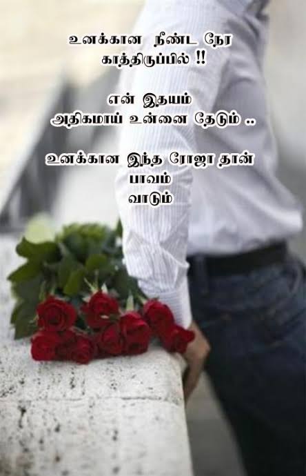 images (13).jpeg
