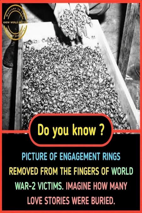 images (19) (27).jpeg