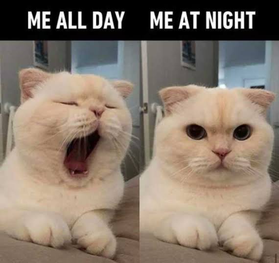 images - 2020-10-09T074552.457.jpeg