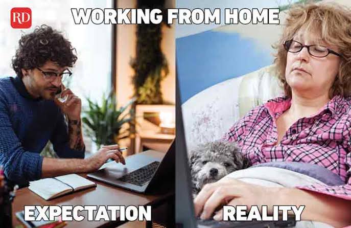 images - 2021-05-11T113727.737.jpeg