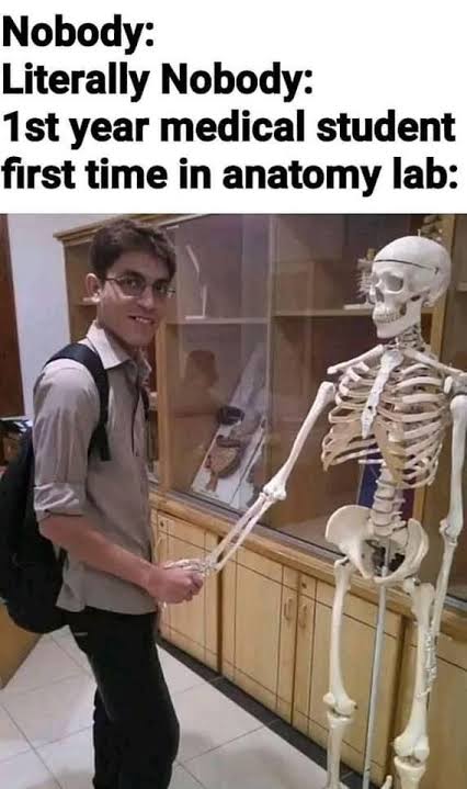 images - 2022-05-05T193100.339.jpeg