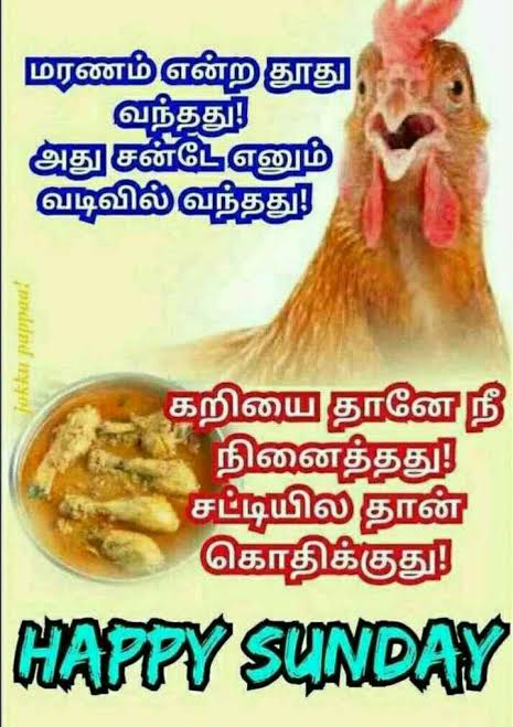 images - 2022-09-04T143525.455.jpeg