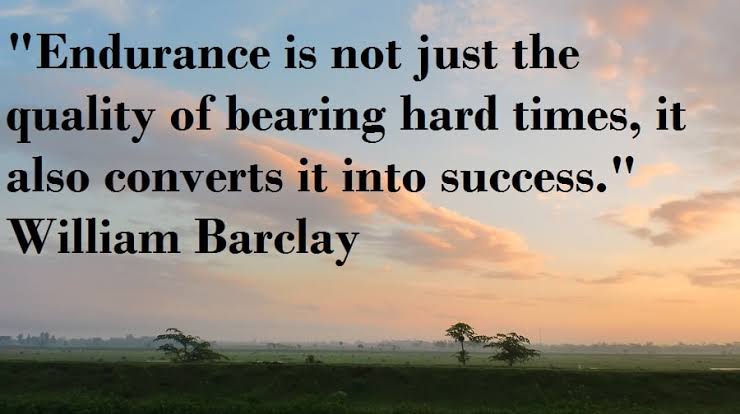 images - 2023-02-10T205312.056.jpeg