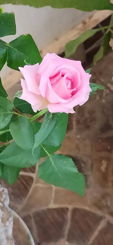 images - 2023-10-14T074751.949.jpeg