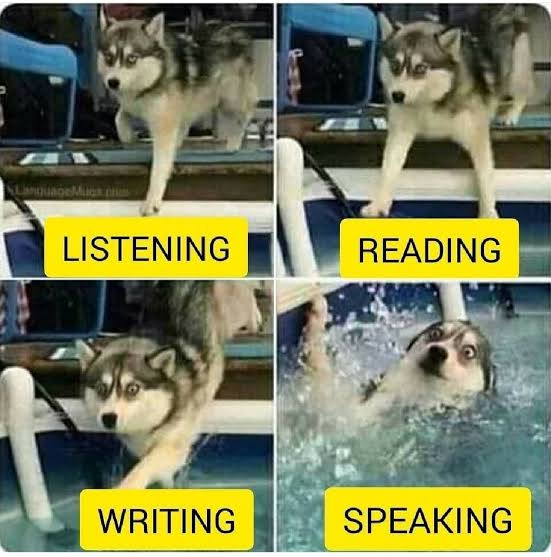 images - 2023-10-16T072156.752.jpeg