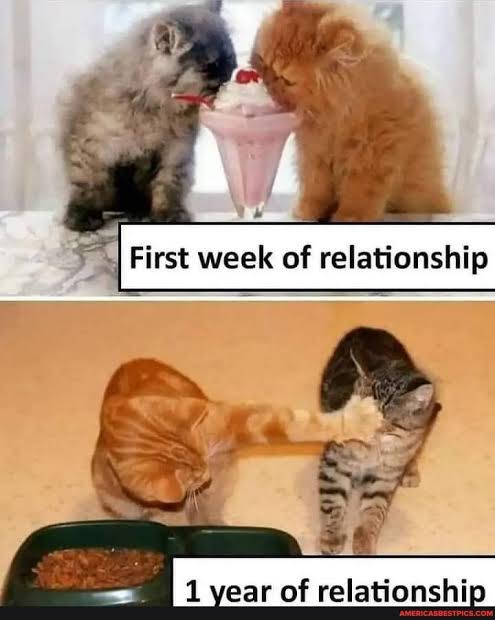 images - 2024-07-07T071743.959.jpeg