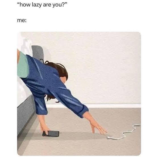 images (29).jpeg