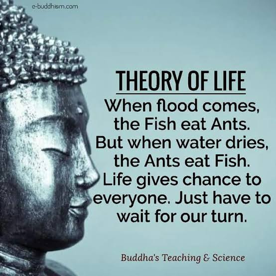 images (3) (15).jpeg