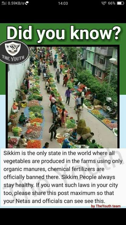 images (32) (31).jpeg