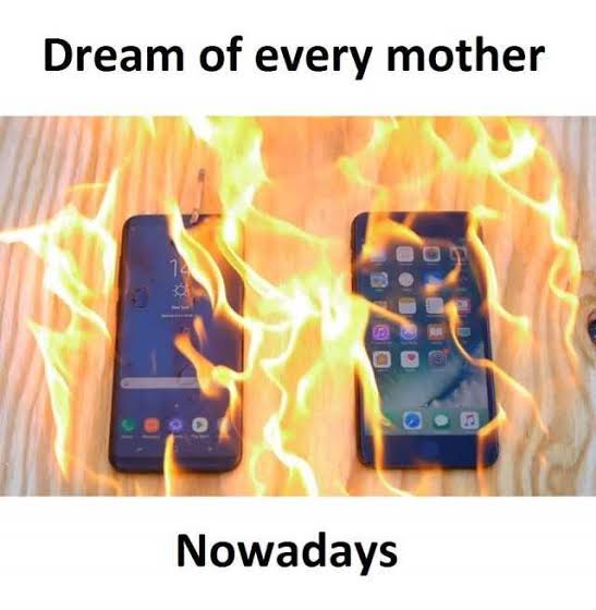 images (48).jpeg