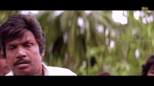 IMG_0384.gif
