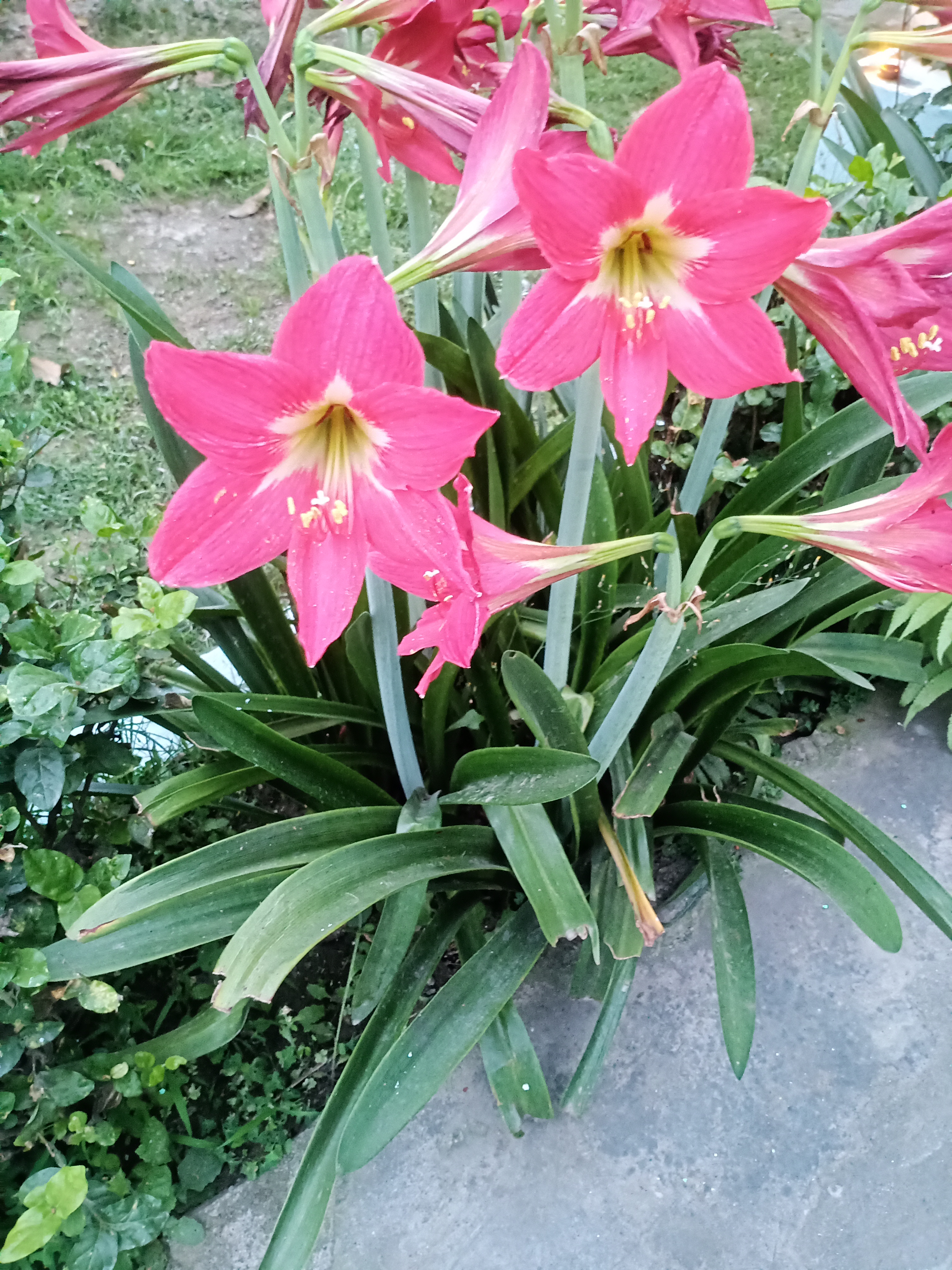 IMG_20240406_180313.jpg