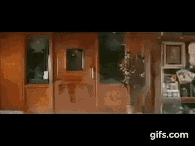 IMG_8292.gif