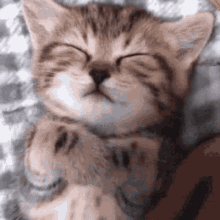 love.gif