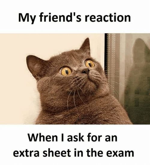 Me After Exam Results – 5 Funny Exam Memes to Reduce Some Stress.jpeg