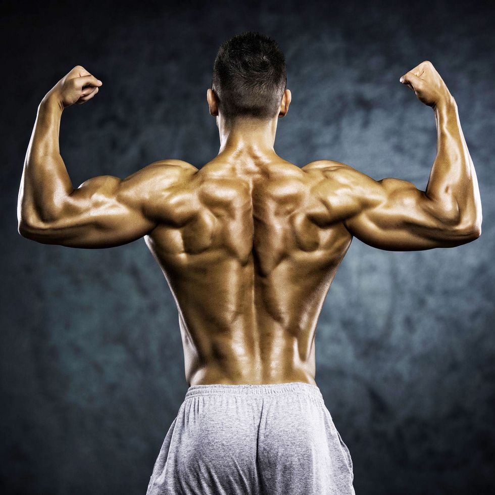 mh-strong-muscular-back-royalty-free-image-1580927608.jpg