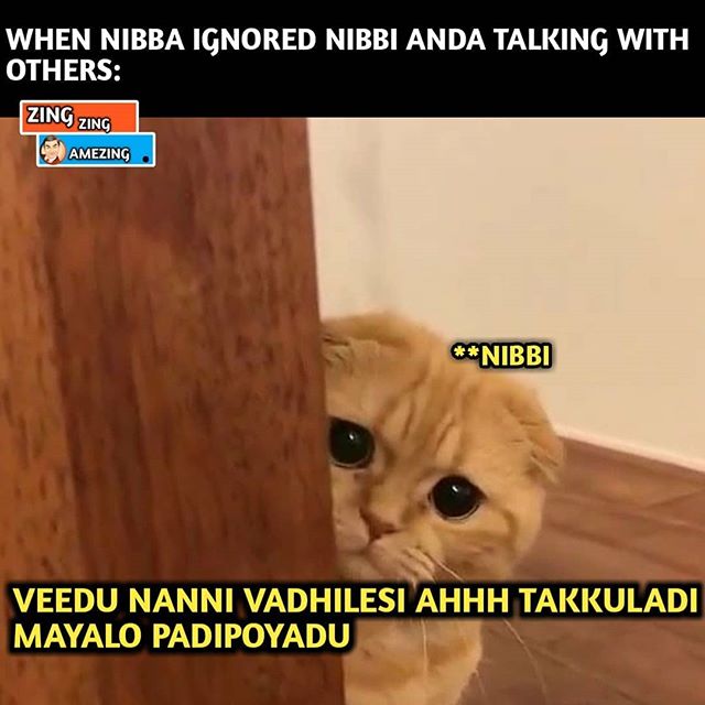 nb1.jpg