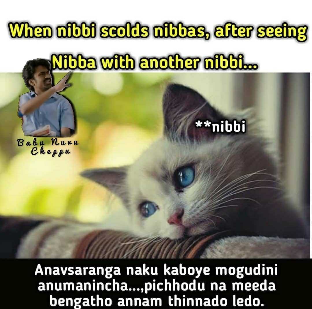 nb2.jpg