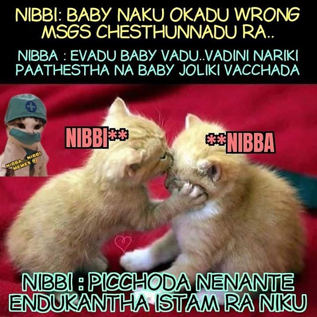 Nibba12.jpg
